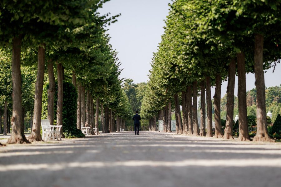 Schlossgarten Schwetzingen Bräutigam wartet am Ende einer langen Allee im Schlossgarten Schwetzingen – Schlossgarten Schwetzingen